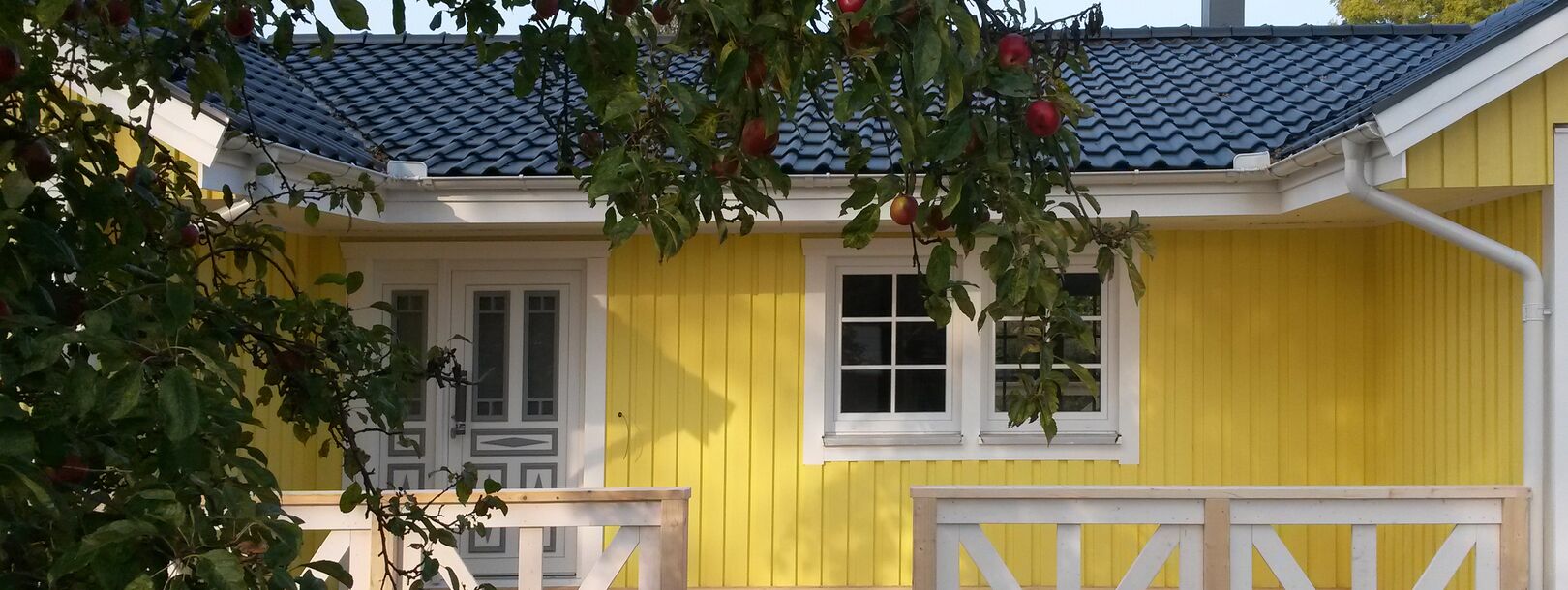 Schwedenhaus Greifswald